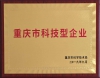 重庆市科技型企业