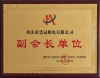 副会长单位