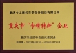 重庆市专精特新企业