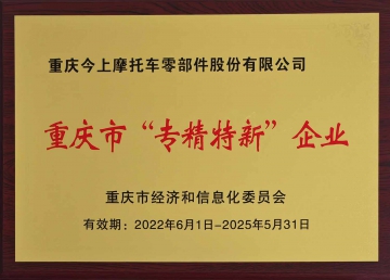 重庆市专精特新企业